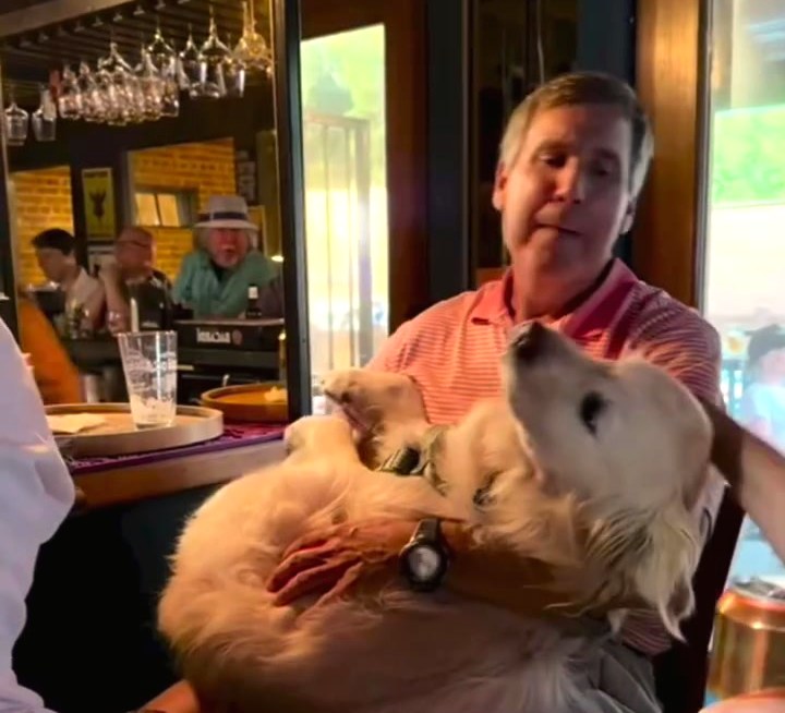 A guest and their dog at the bar