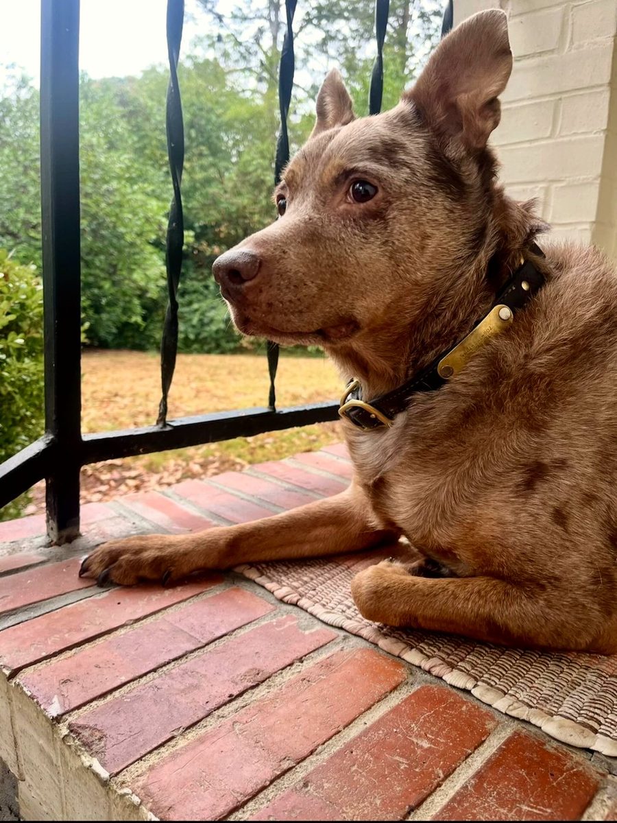 Foster, on the porch