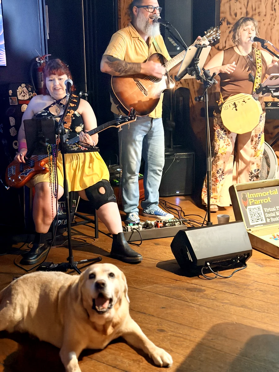Live music at Foster's, and somebody's dog in the front row